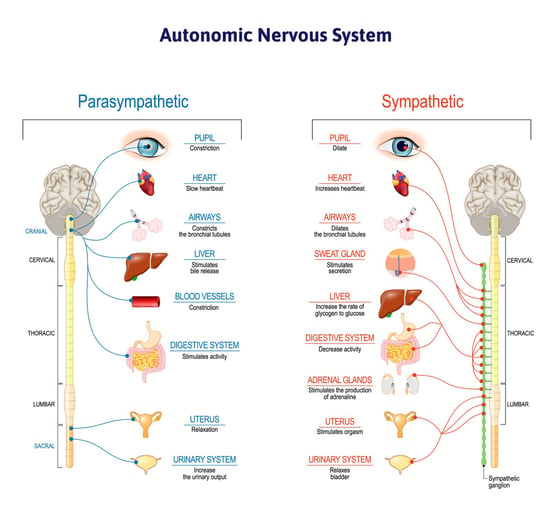 yes-covid-affects-the-nervous-system-what-to-do-about-it